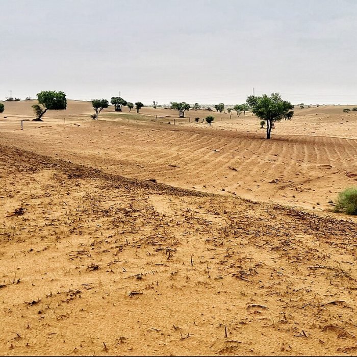 land image